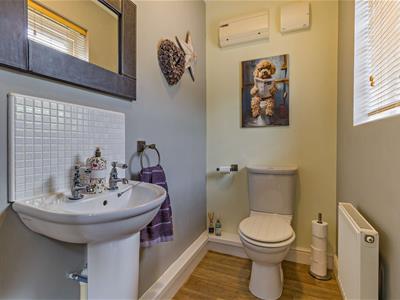 Picture 7
